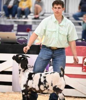 faulkton hs intern